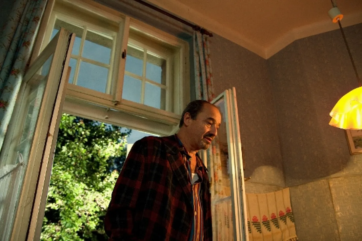 Anglické jahody, 2008 - fotogaléria