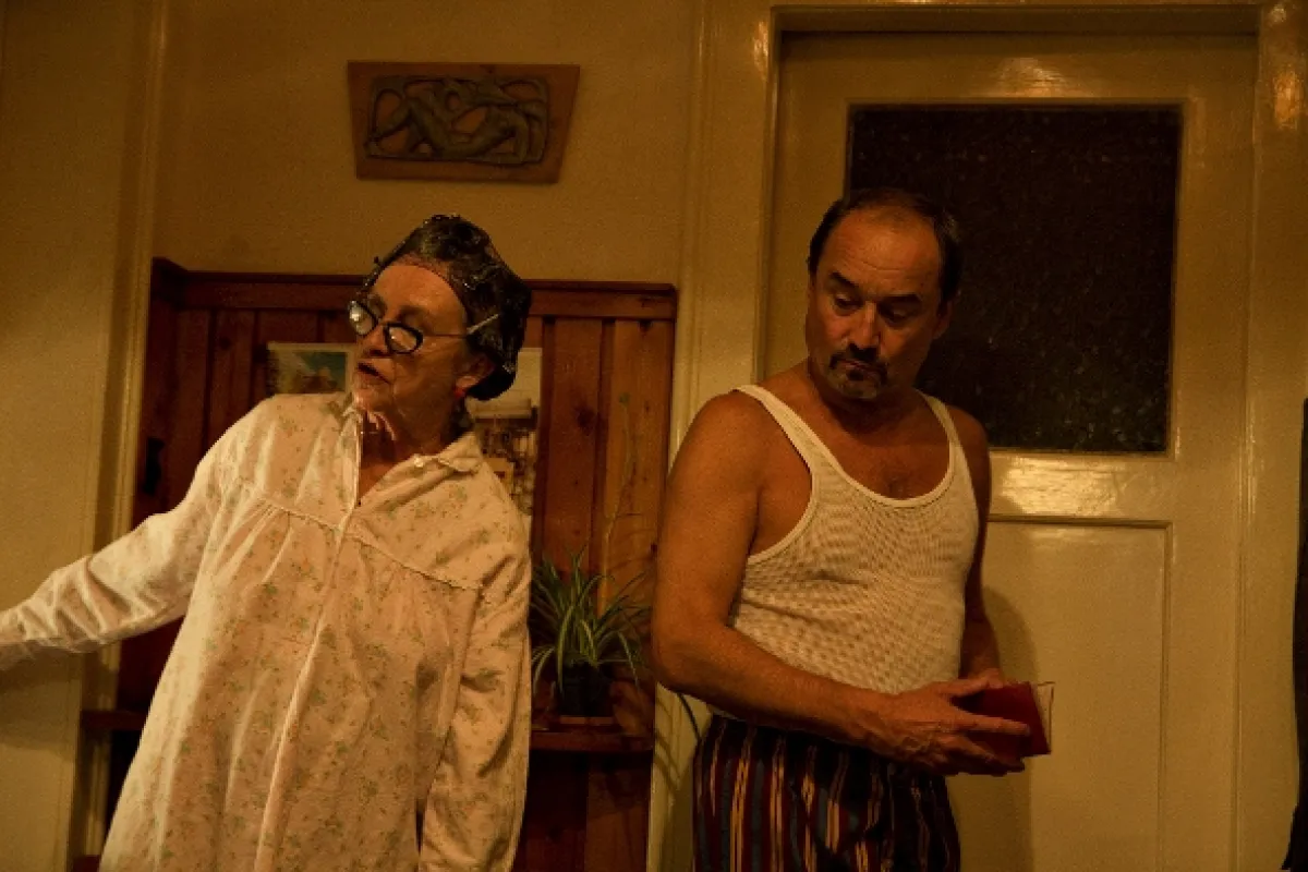 Anglické jahody, 2008 - fotogaléria