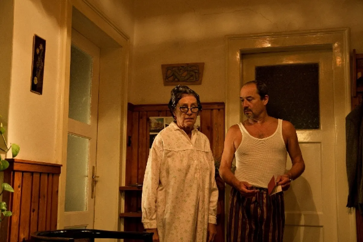 Anglické jahody, 2008 - fotogaléria