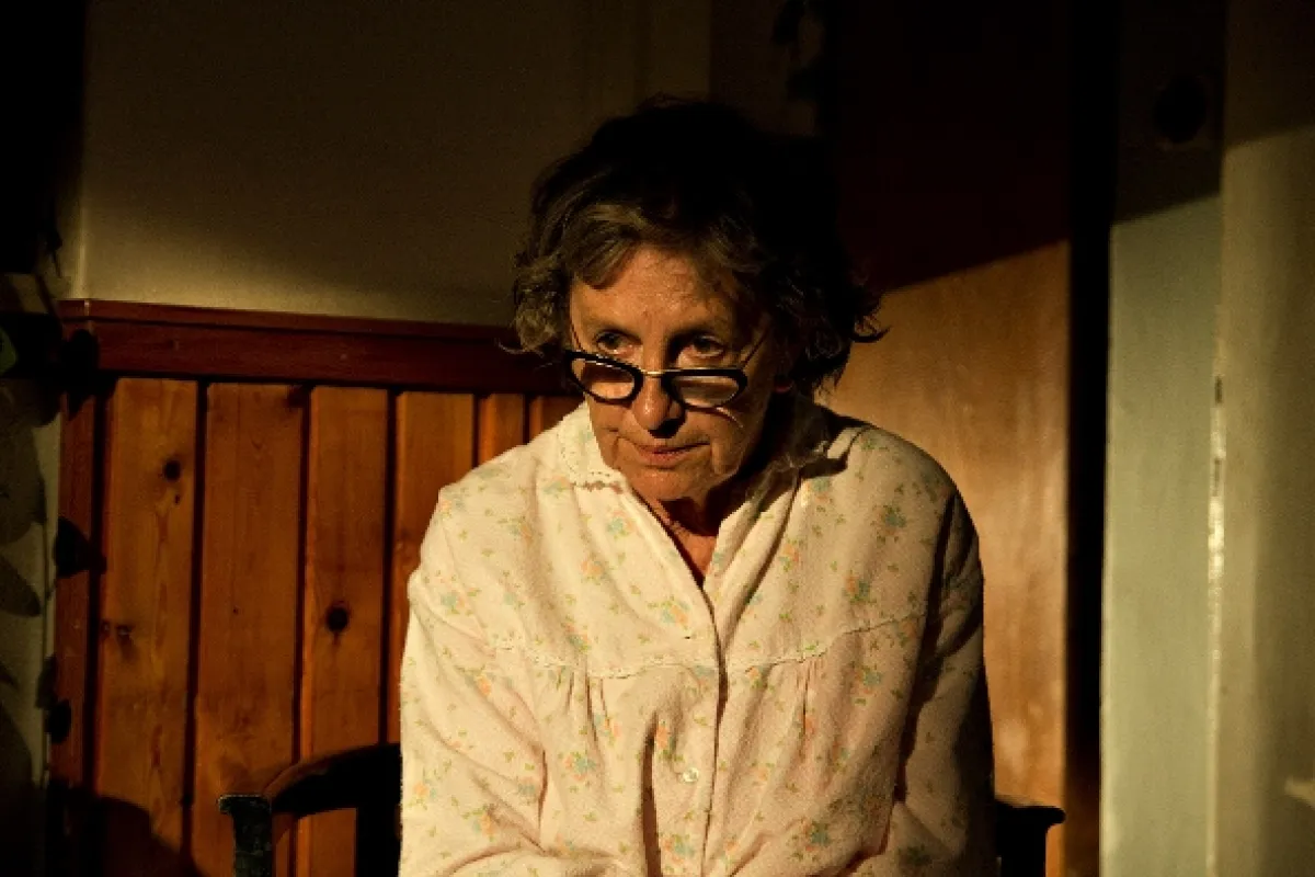 Anglické jahody, 2008 - fotogaléria