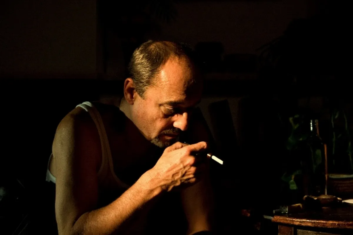 Anglické jahody, 2008 - fotogaléria