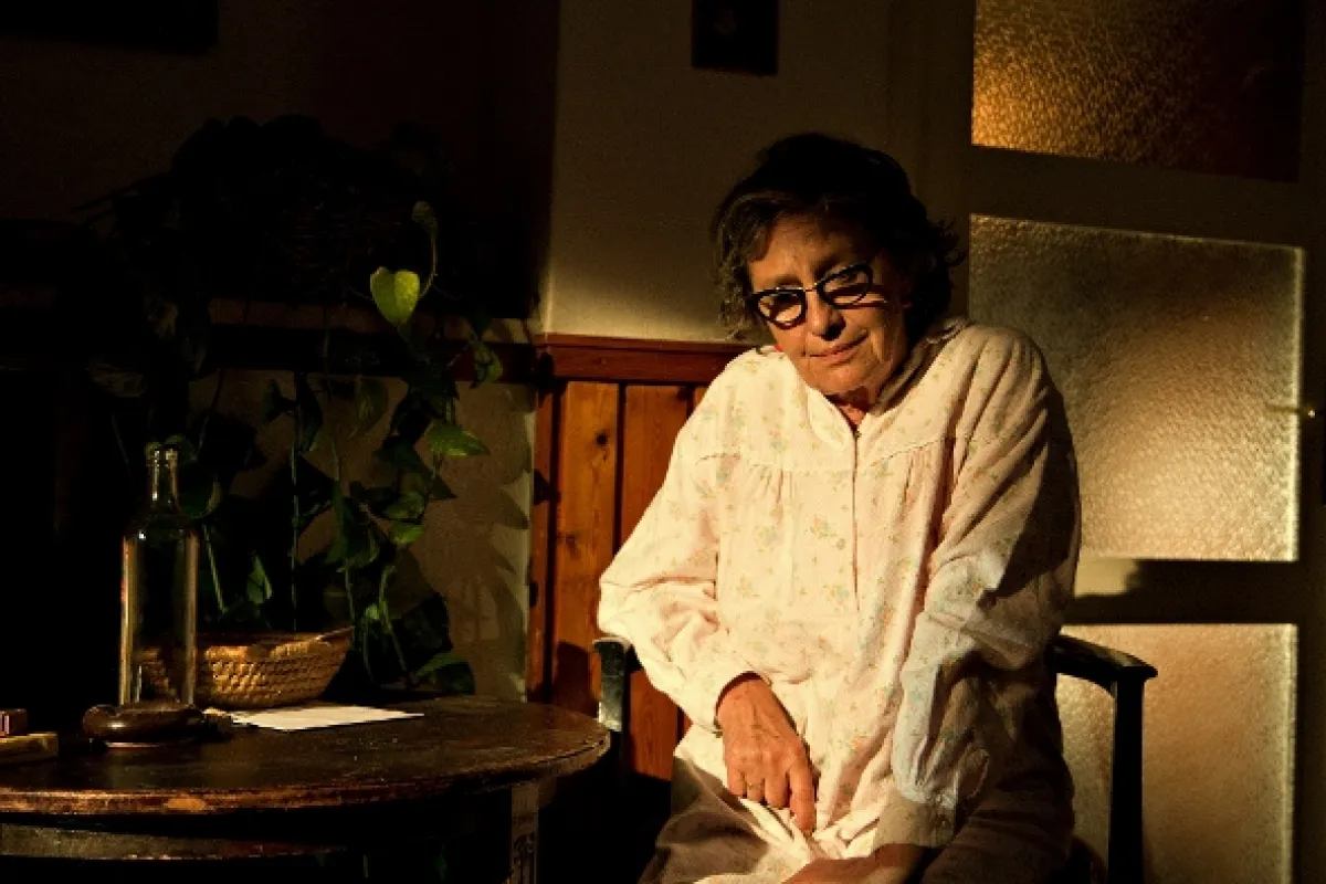 Anglické jahody, 2008 - fotogaléria