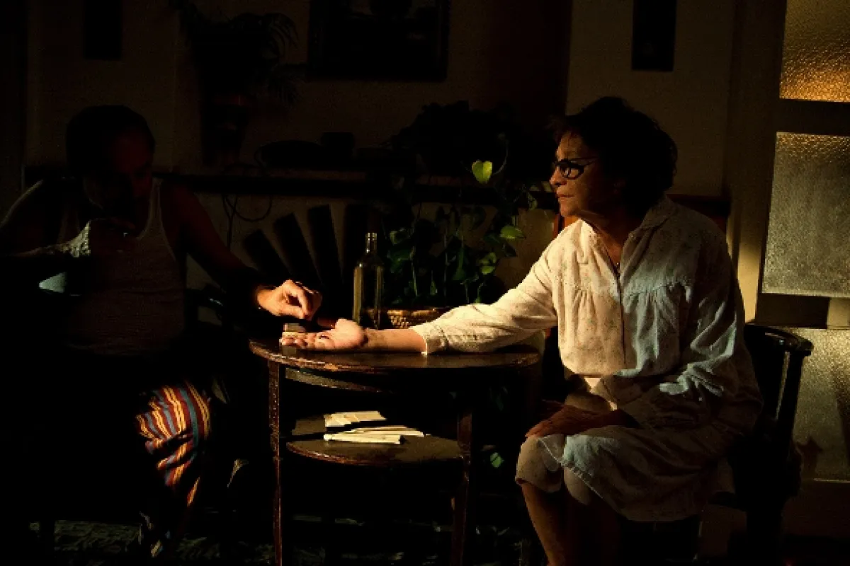 Anglické jahody, 2008 - fotogaléria