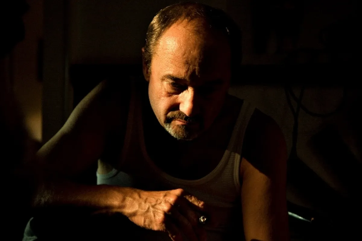 Anglické jahody, 2008 - fotogaléria