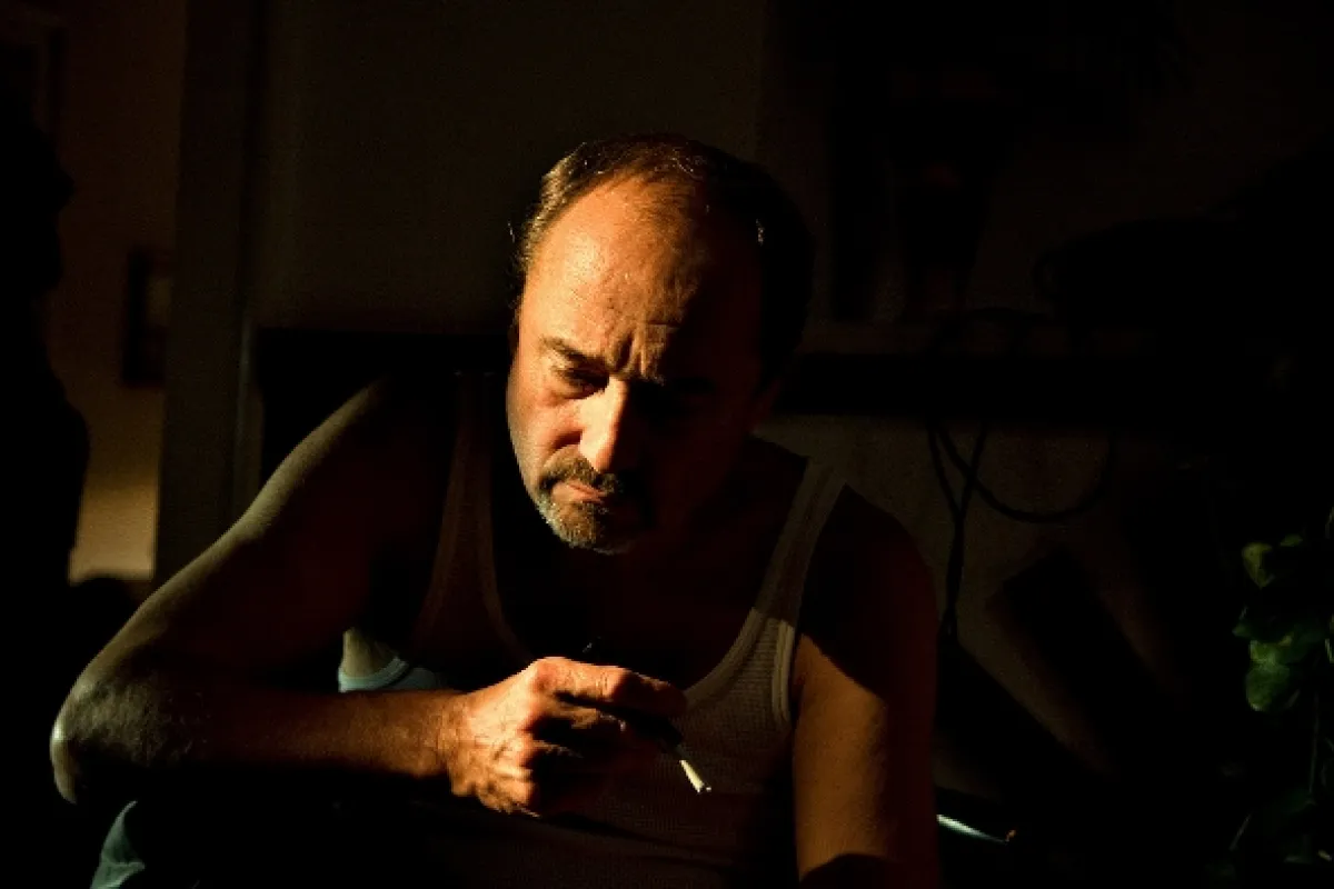 Anglické jahody, 2008 - fotogaléria