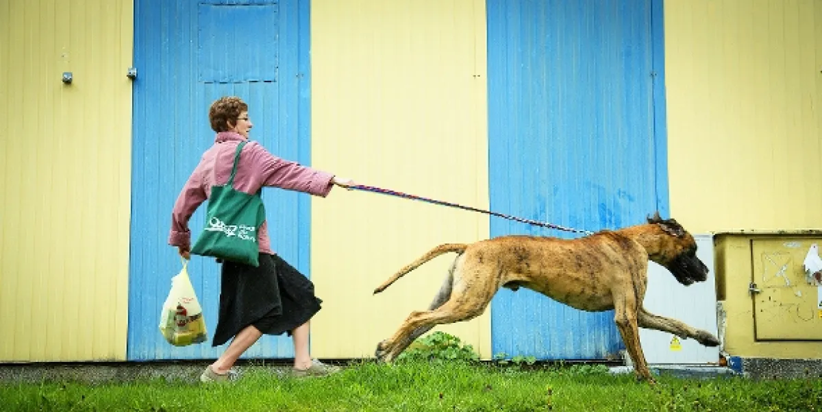 Tělo (Cialo), 2015 - fotogaléria