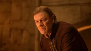 Robin Hood (6)