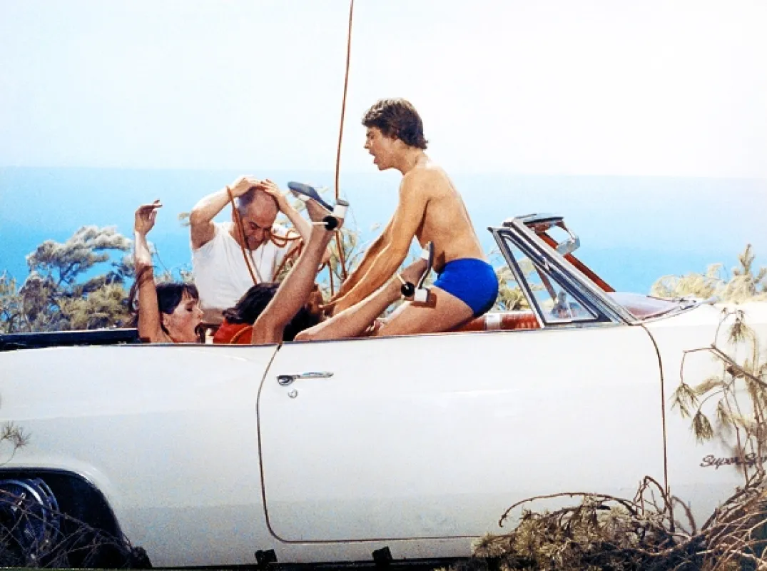 Na strome (Sur un arbre perché), 1971 - fotogaléria