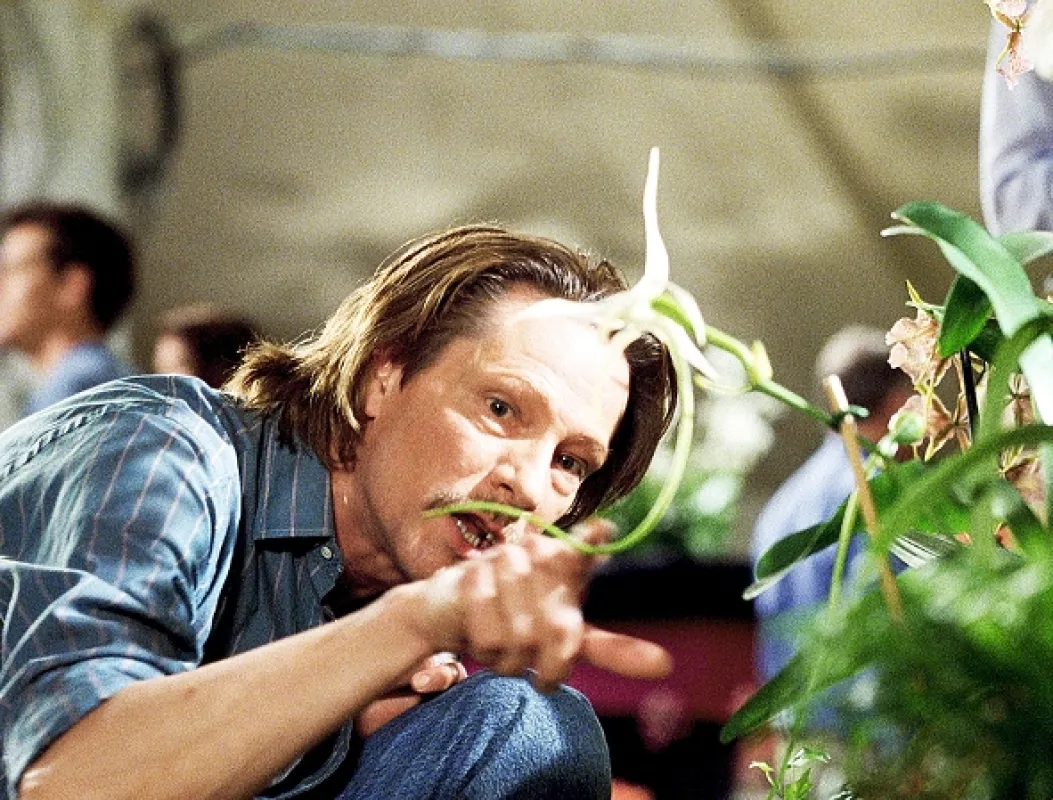 Adaptace (Adaptation), 2002 - fotogaléria