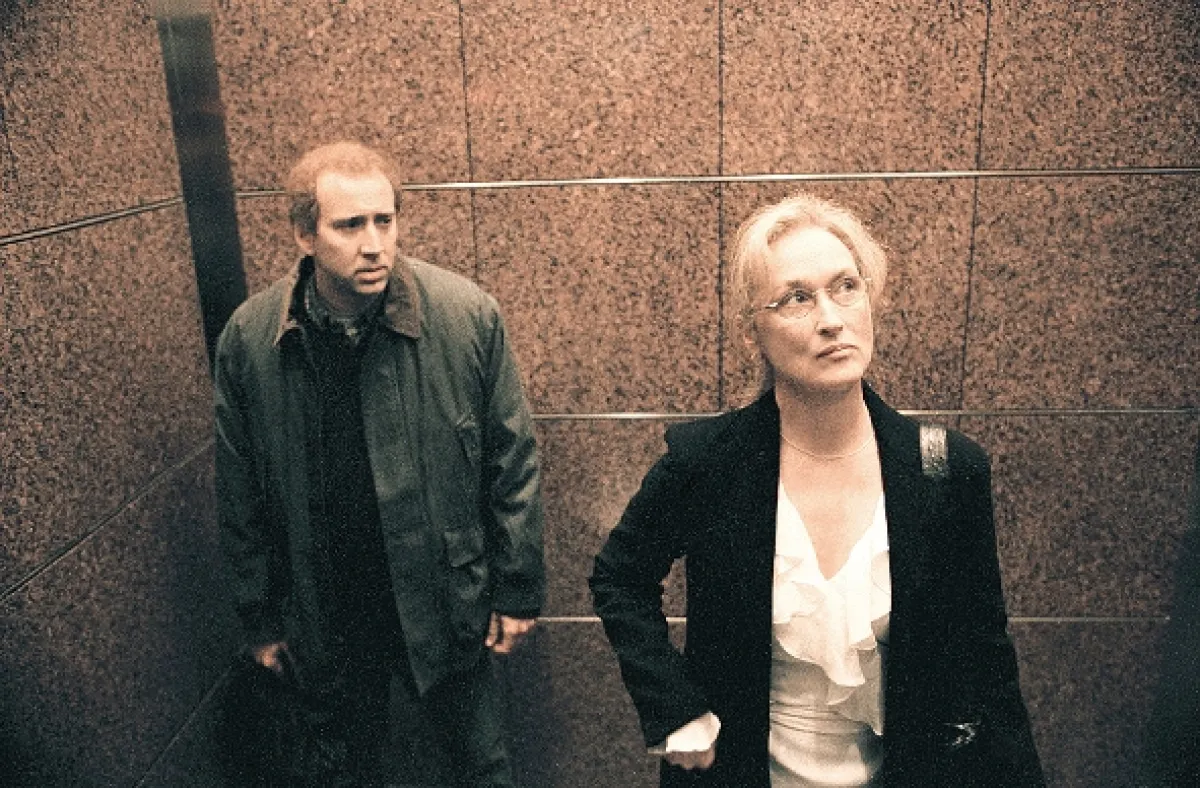 Adaptace (Adaptation), 2002 - fotogaléria