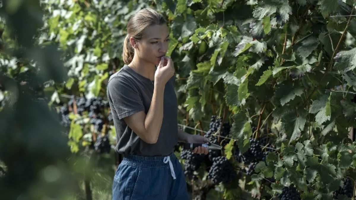Vo víne je vražda (Winemaker, The), 2021 - fotogaléria