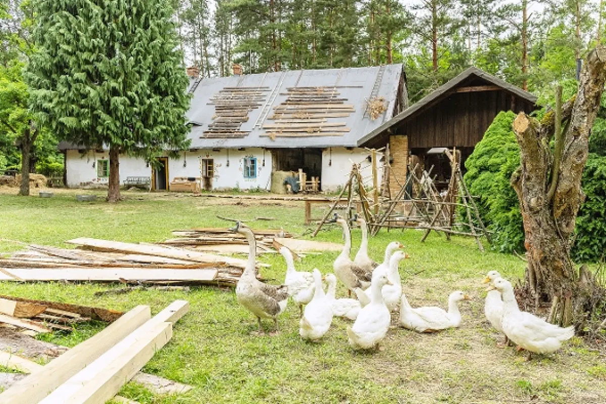 Farma Česko - fotogaléria