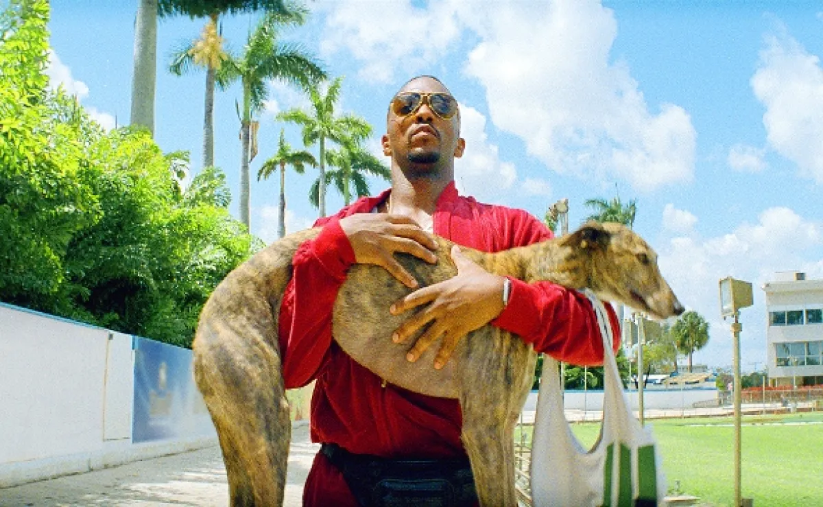 Pot a krev (Pain & Gain), 2013 - fotogaléria