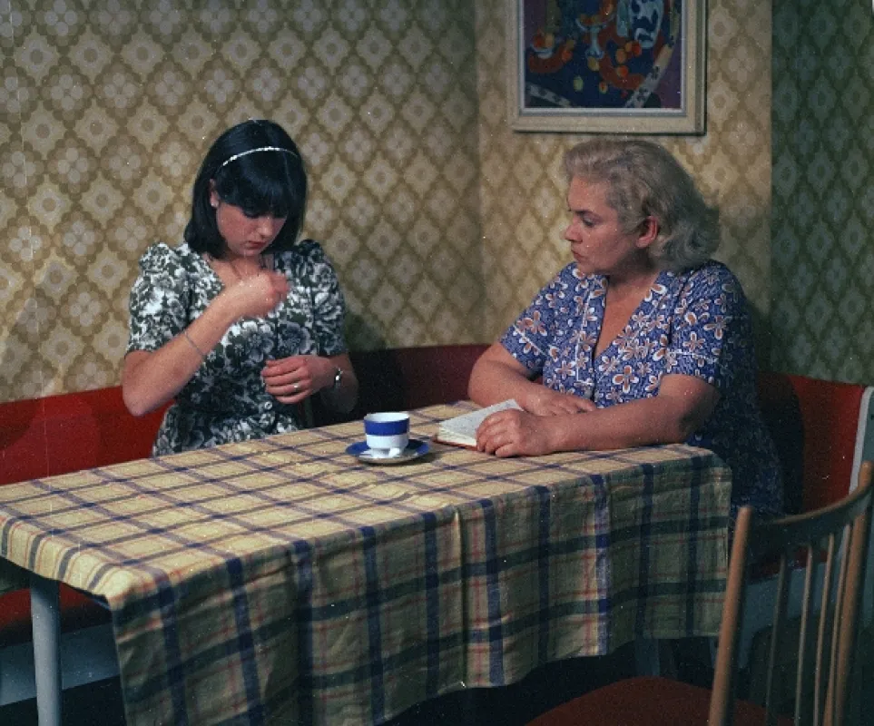 Mít tak holku na hlídání, 1980 - fotogaléria