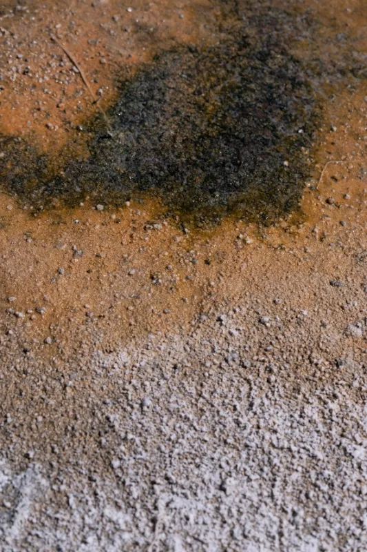 Sedm dní na Marsu (Seven Days On Mars), 2022 - fotogaléria