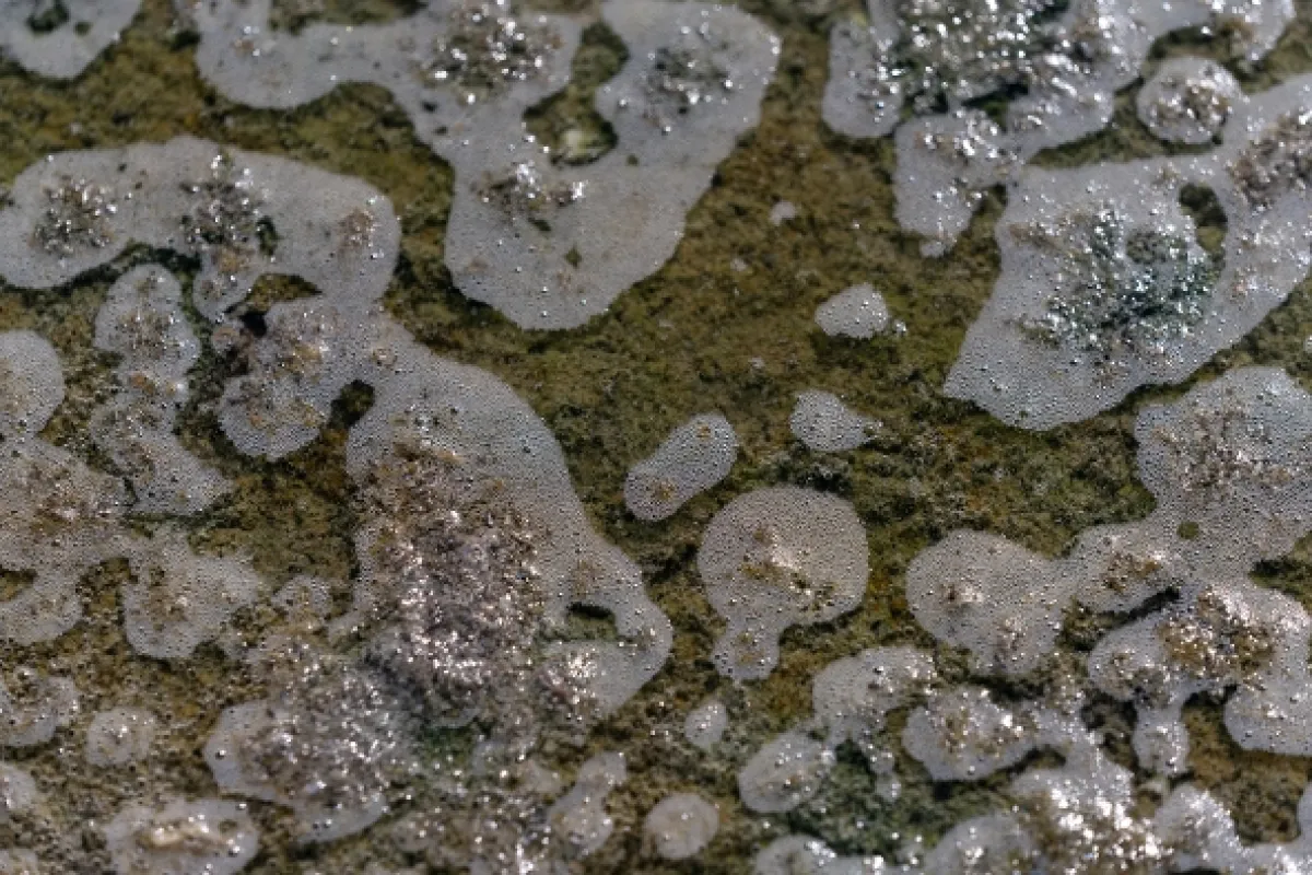 Sedm dní na Marsu (Seven Days On Mars), 2022 - fotogaléria