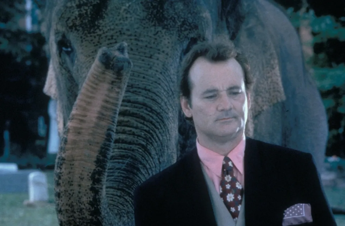 Větší než život (Larger Than Life), 1996 - fotogaléria