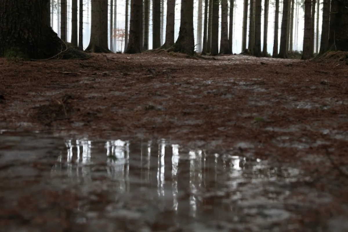divoČINY, 2013 - fotogaléria