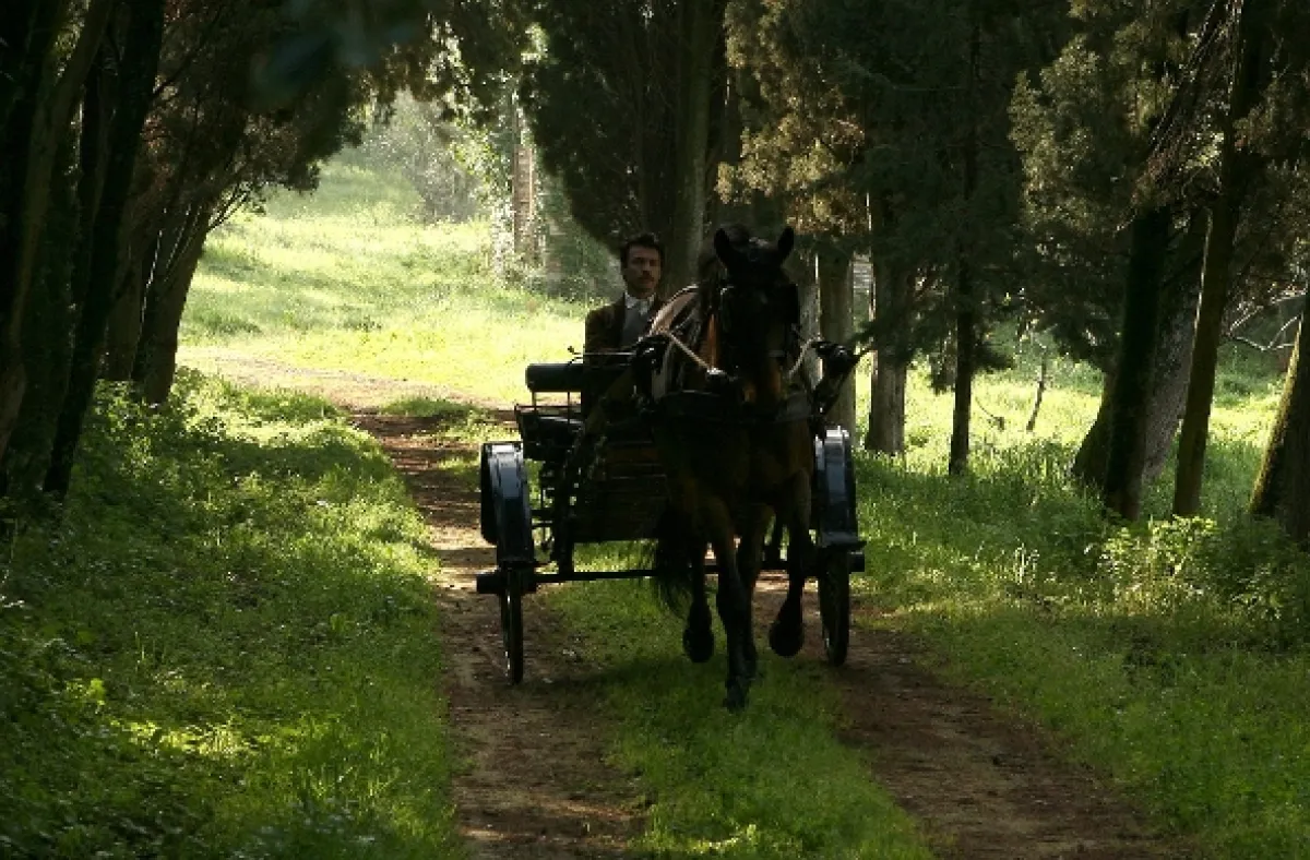Puccini, 2008 - fotogaléria