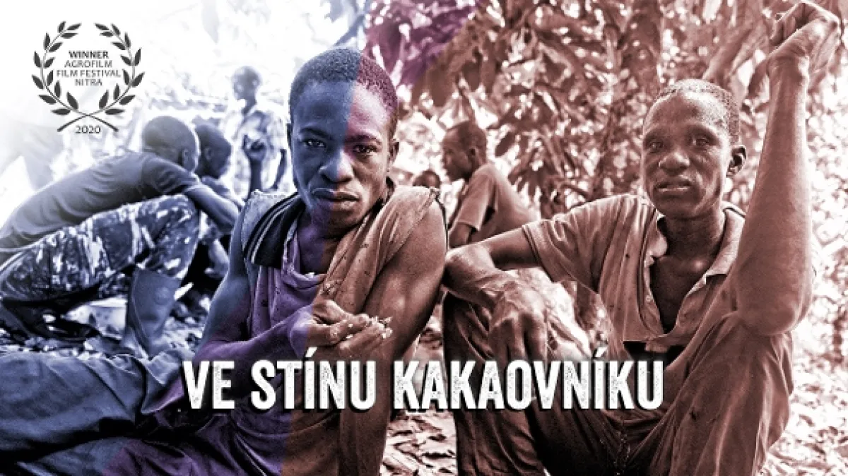 Ve stínu kakaovníku - fotogaléria