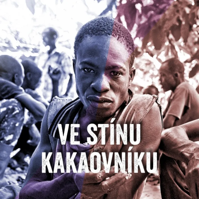 Ve stínu kakaovníku - fotogaléria