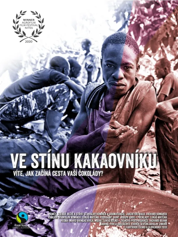 Ve stínu kakaovníku - fotogaléria