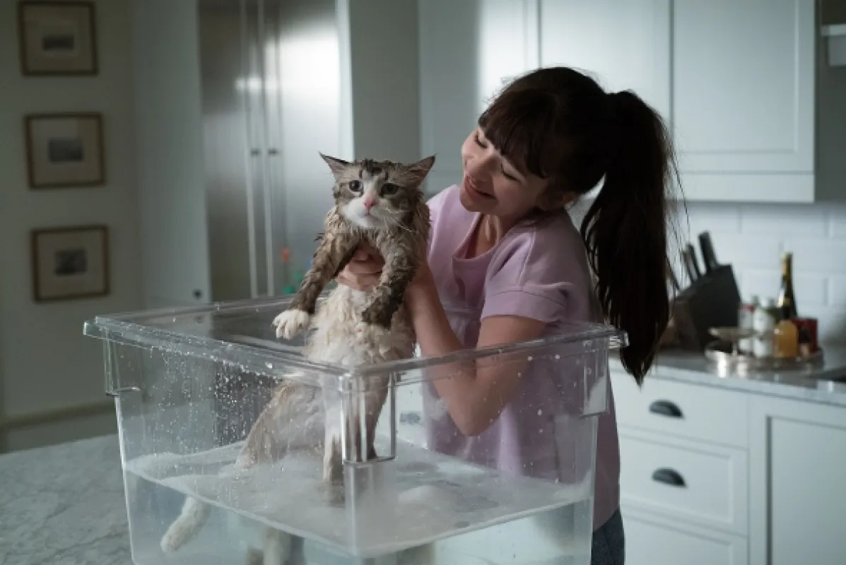 Já, kocour (Ma vie de chat), 2016 - fotogaléria