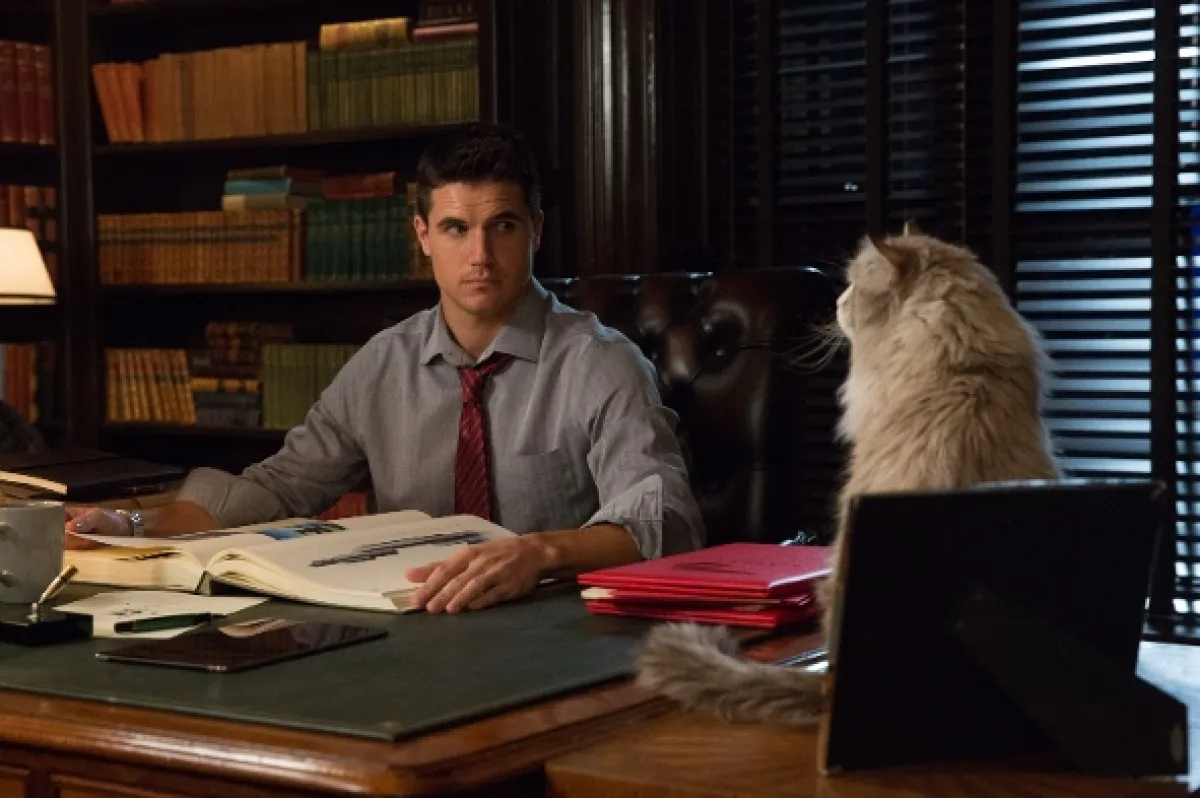Já, kocour (Ma vie de chat), 2016 - fotogaléria