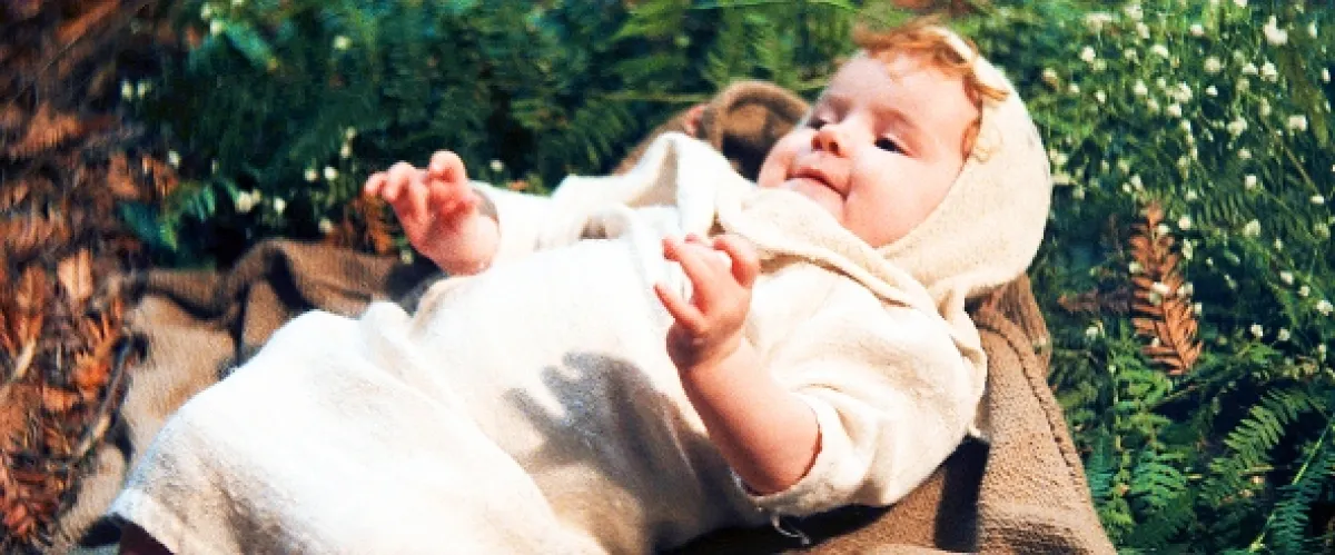 Willow, 1988 - fotogaléria