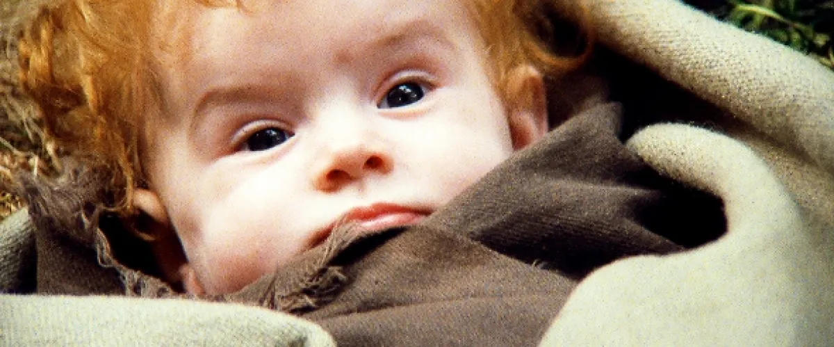 Willow, 1988 - fotogaléria
