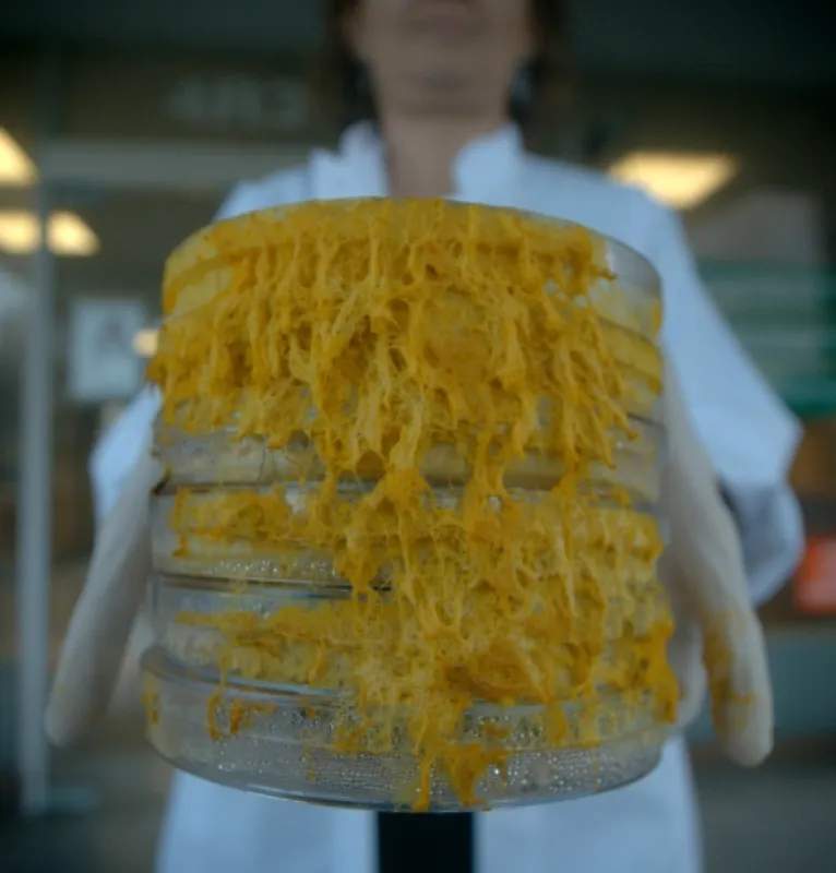 Hlenky: Géniové bez mozku (Le blob: Un génie sans Cerveau), 2019 - fotogaléria