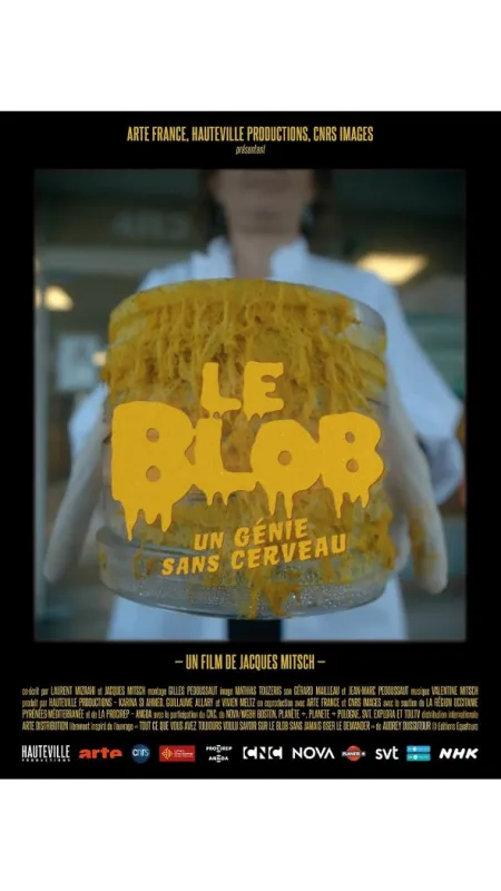 Hlenky: Géniové bez mozku (Le blob: Un génie sans Cerveau), 2019 - fotogaléria