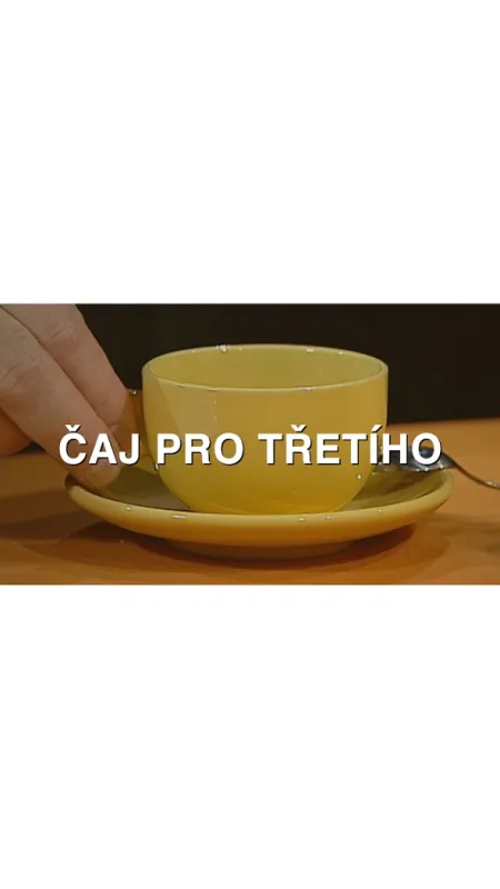 Čaj pro třetího, 2006 - fotogaléria