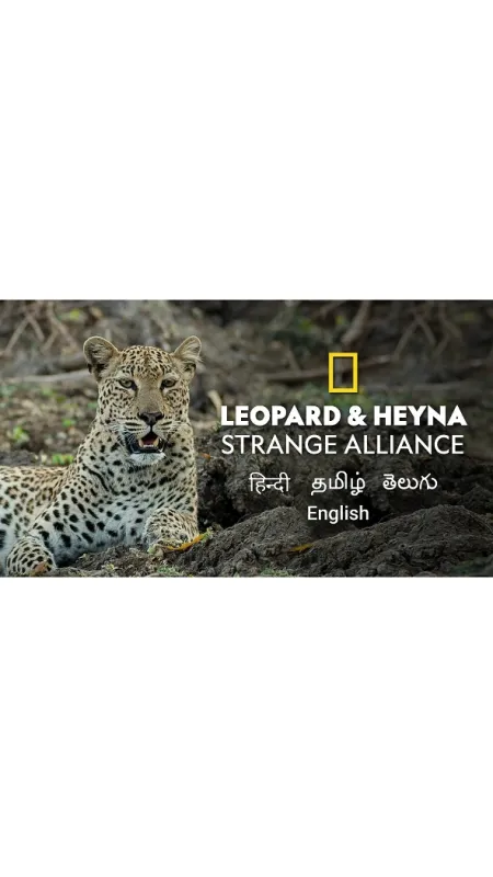 Leopard a hyena: Nečakaní spojenci (Unholy Alliance), 2020 - fotogaléria