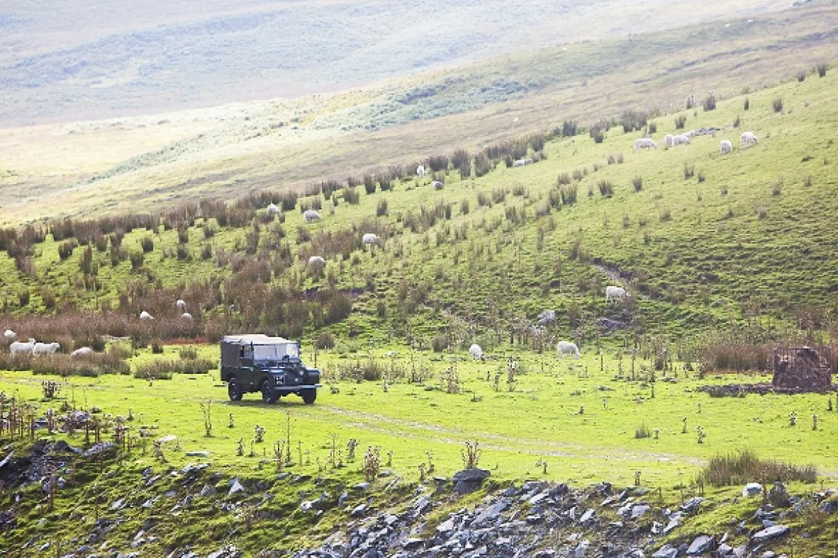 Top Gear, 2015 - fotogaléria