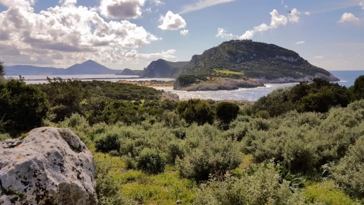 Divoké Grécko: Pohľadom bohov (Greece - The Wild Side), 2020 - fotogaléria