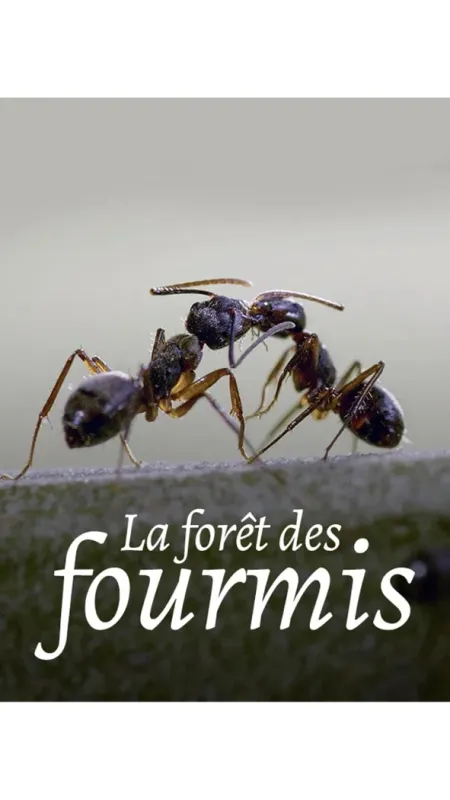 Mravenčí džungle (La Foret des Fourmis), 2022 - fotogaléria