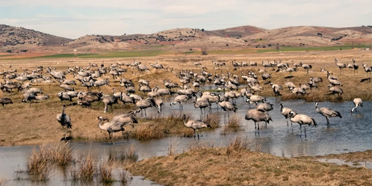 Španielsko: Raj medzi dvoma svetmi (Spain: A Paradise Between Two Worlds), 2018 - fotogaléria