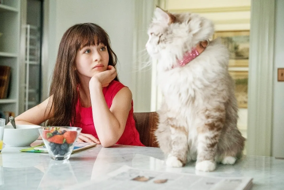 Devět životů (NINE LIVES), 2016 - fotogaléria