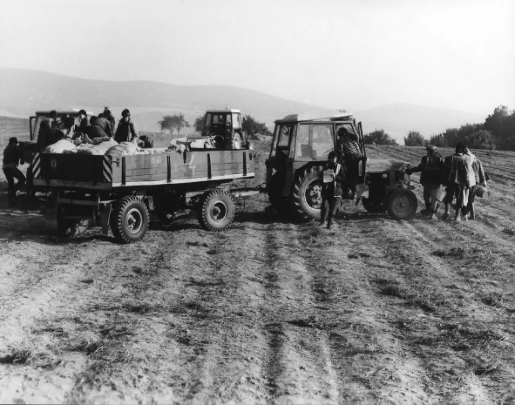 Obyčajný špás, 1989 - fotogaléria
