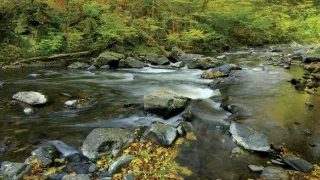 Oslava proudů: Geologický unikát (3)