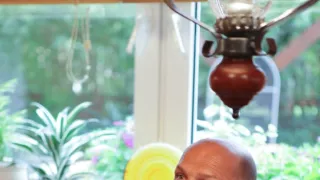 Ano, šéfe!