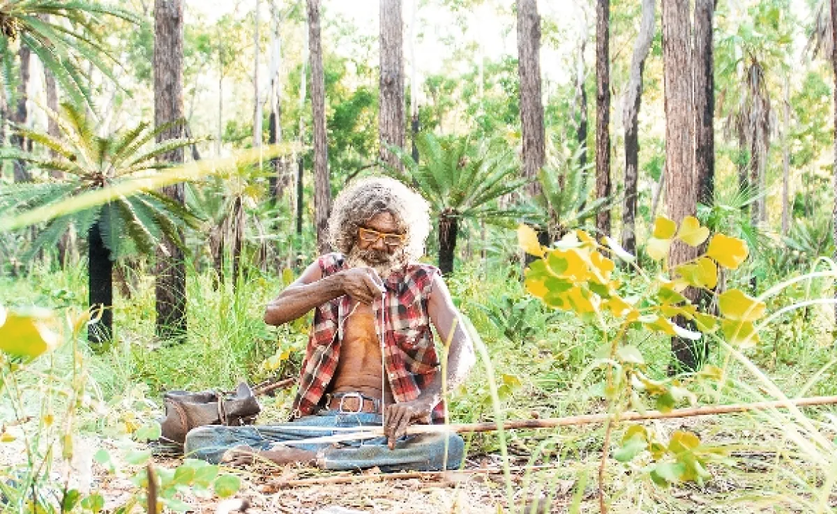Charlieho krajina (Charlie’s Country), 2013 - fotogaléria