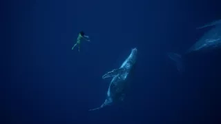 Pútnici morí nám ukazujú cestu