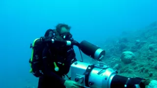 Pútnici morí nám ukazujú cestu