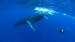 Pútnici morí nám ukazujú cestu