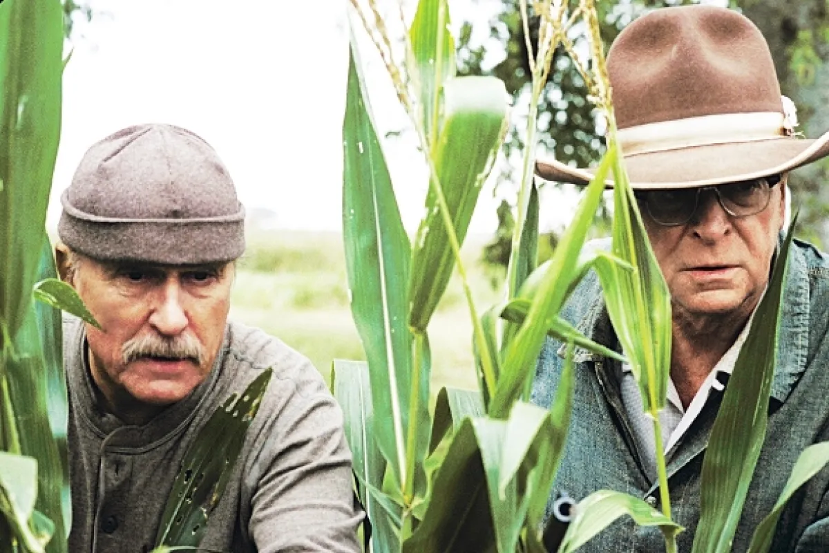 Tajomstvo bratov MacCannovcov (Secondhand Lions), 2003 - fotogaléria