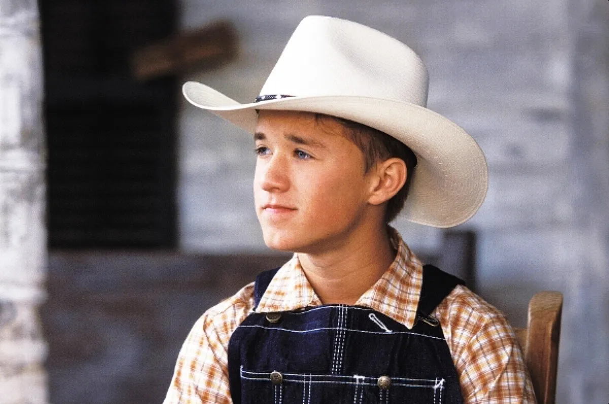 Tajomstvo bratov MacCannovcov (Secondhand Lions), 2003 - fotogaléria