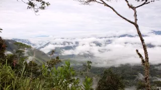 Království divočiny: Rajky, Papua Nová Guinea