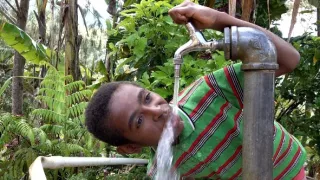 Království divočiny: Rajky, Papua Nová Guinea